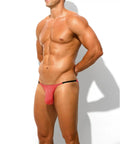 PAIZH Sol Brief
